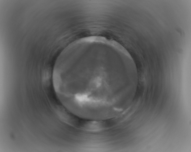 X0000113300082200910131056