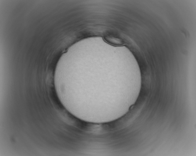 X0000113300083200910131056