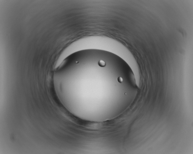 X0000113300084200910131056