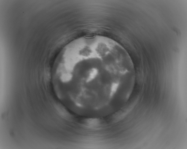 X0000113300085200910131056