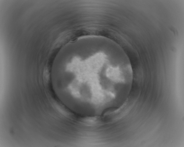 X0000113300086200910131056
