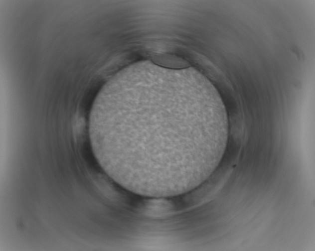 X0000113300087200910131056
