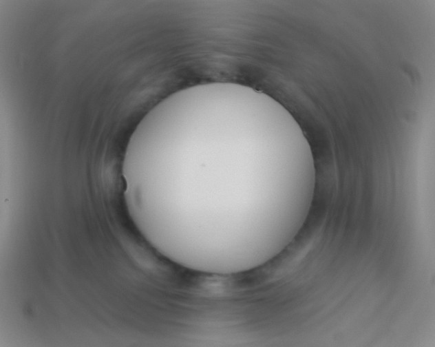 X0000113300088200910131056