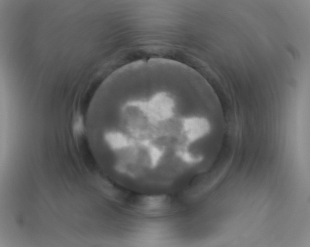 X0000113300089200910131056
