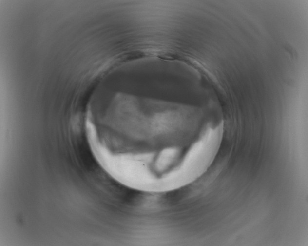 X0000113300093200910131056