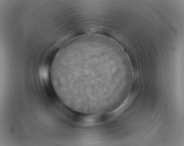 X0000113300094200910131056