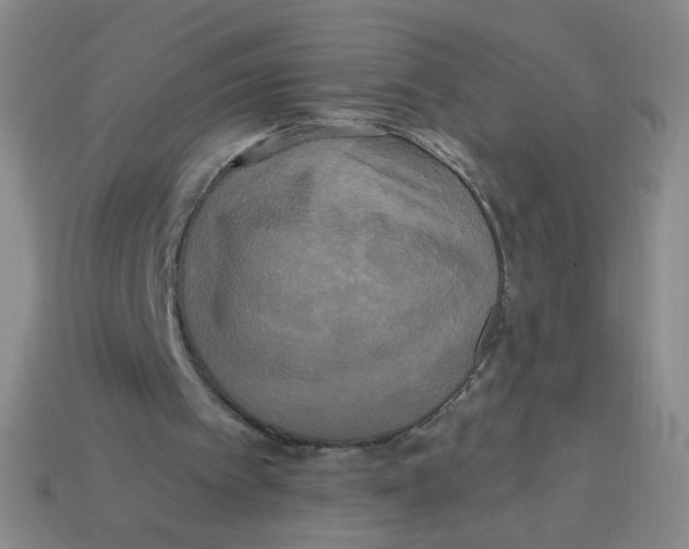 X0000113300097200910131055