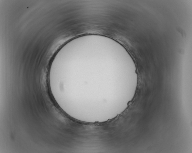 X0000113300098200910131055