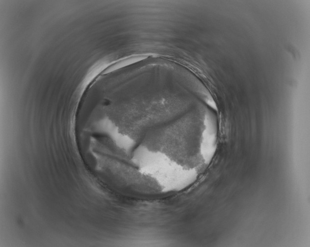 X0000113300099200910131055