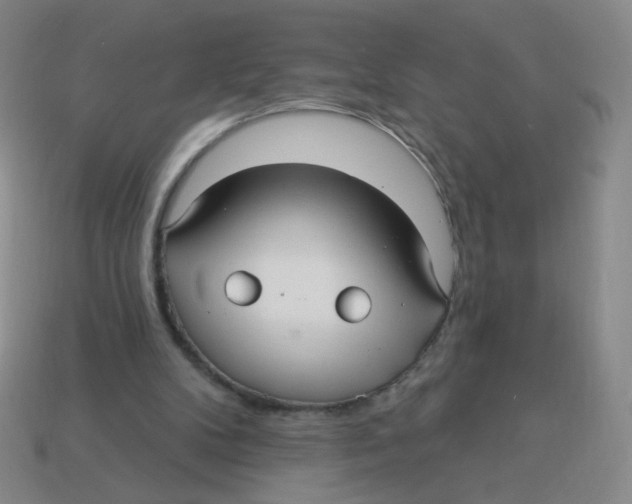 X0000113300104200910131055