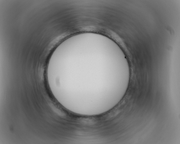 X0000113300106200910131055