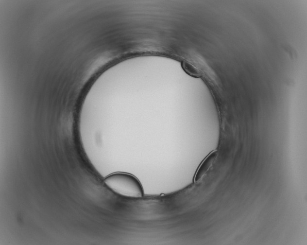 X0000113300108200910131055