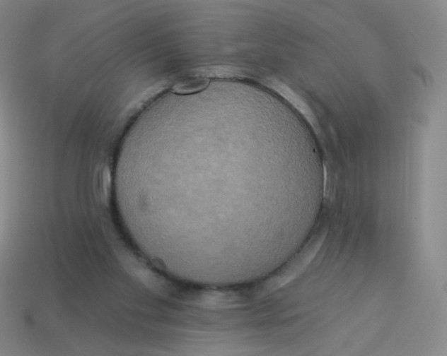 X0000113300109200910131055
