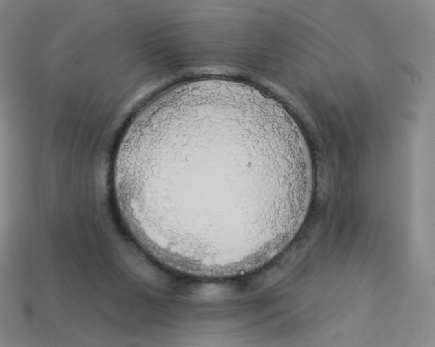 X0000113300111200910131055