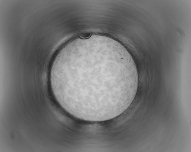 X0000113300112200910131055