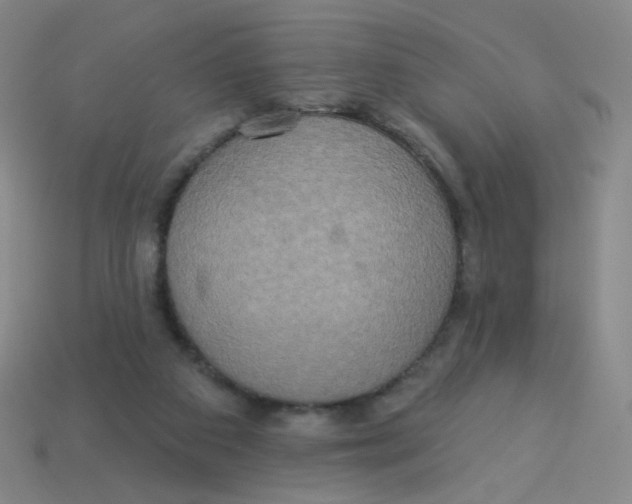 X0000113300113200910131055
