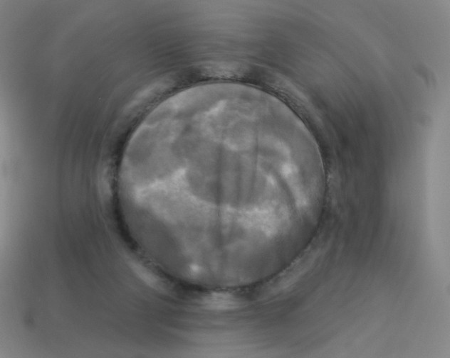 X0000113300114200910131055