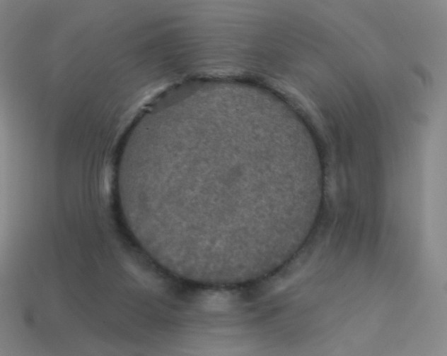 X0000113300115200910131055