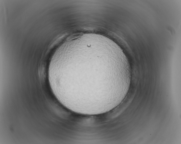 X0000113300116200910131055