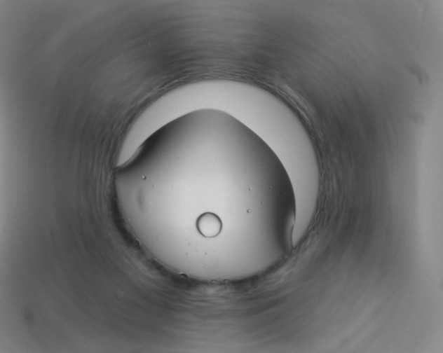 X0000113300117200910131055