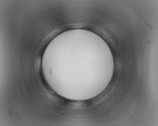X0000113300118200910131055