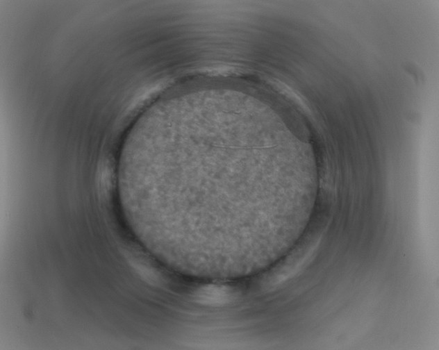 X0000113300119200910131055