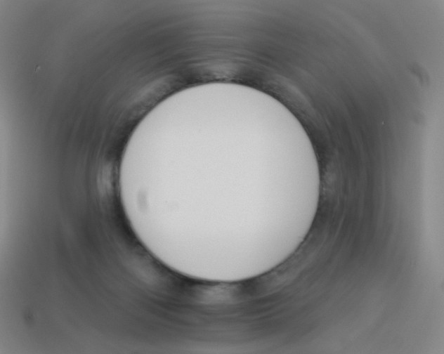 X0000113300122200910131055