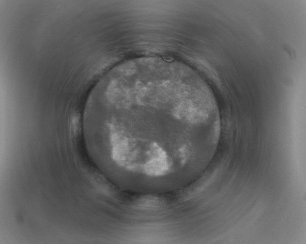 X0000113300123200910131055