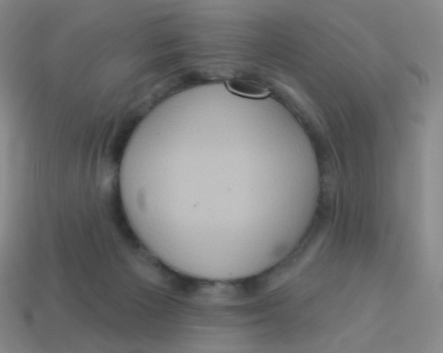 X0000113300125200910131055