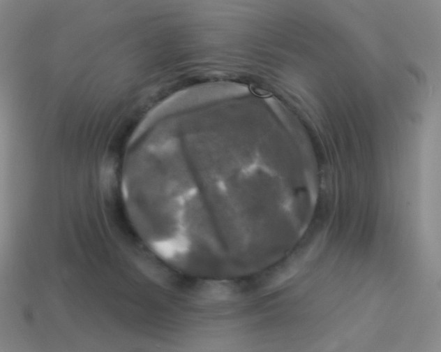 X0000113300127200910131055