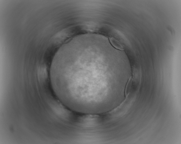 X0000113300128200910131055