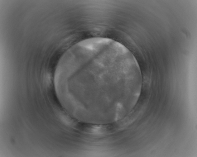 X0000113300130200910131055