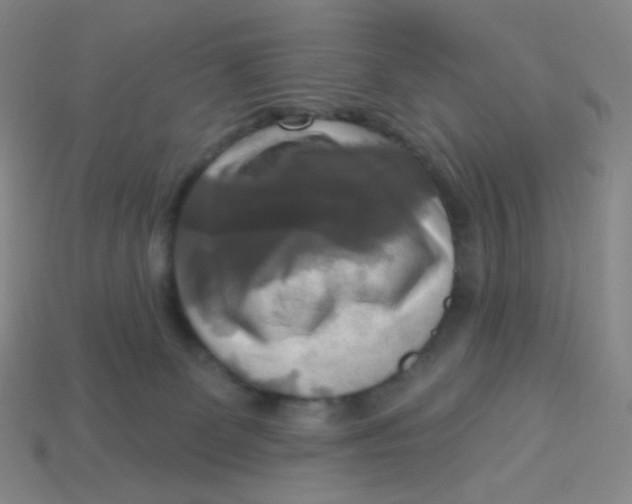 X0000113300131200910131055