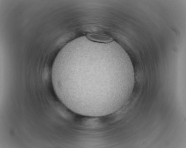 X0000113300132200910131055
