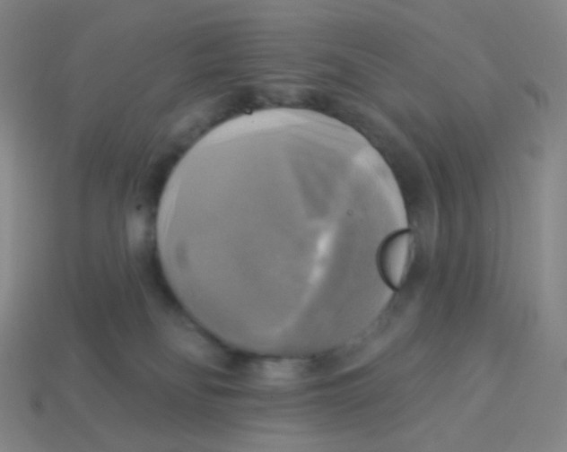 X0000113300134200910131055