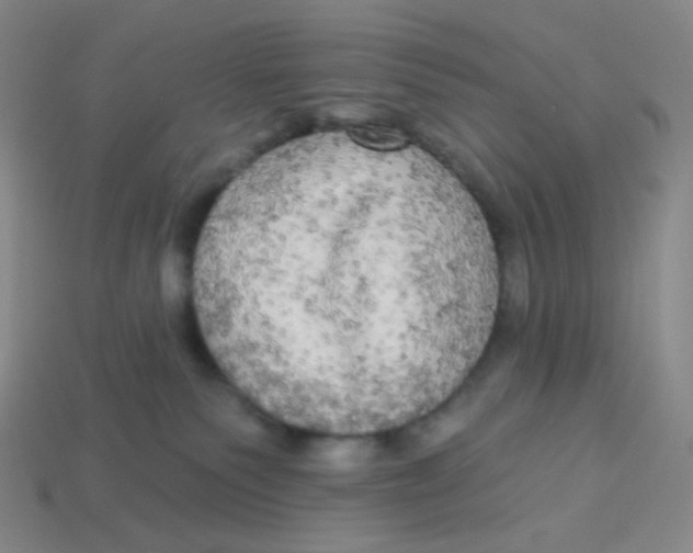 X0000113300135200910131055