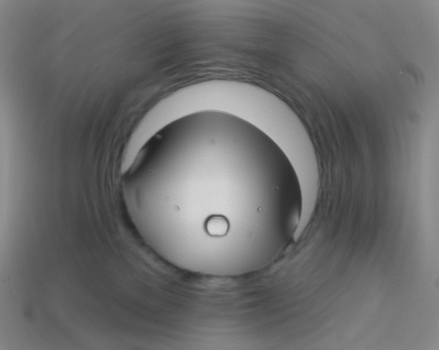 X0000113300137200910131055