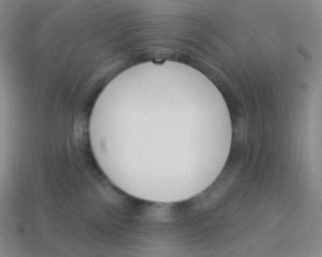 X0000113300138200910131055