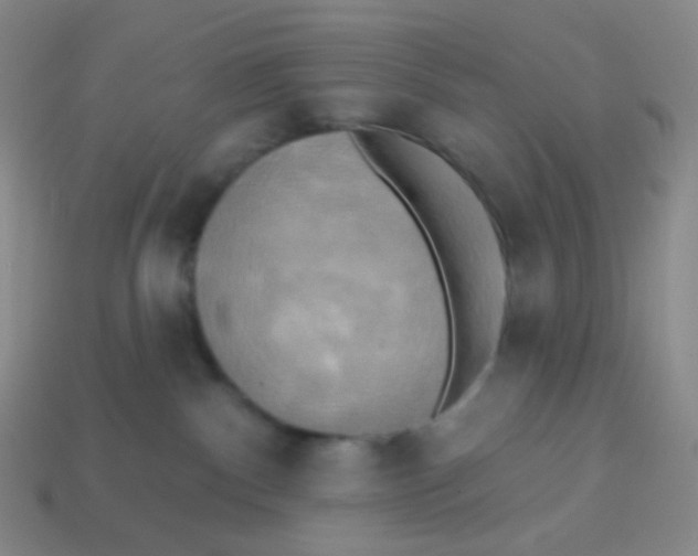 X0000113300140200910131055