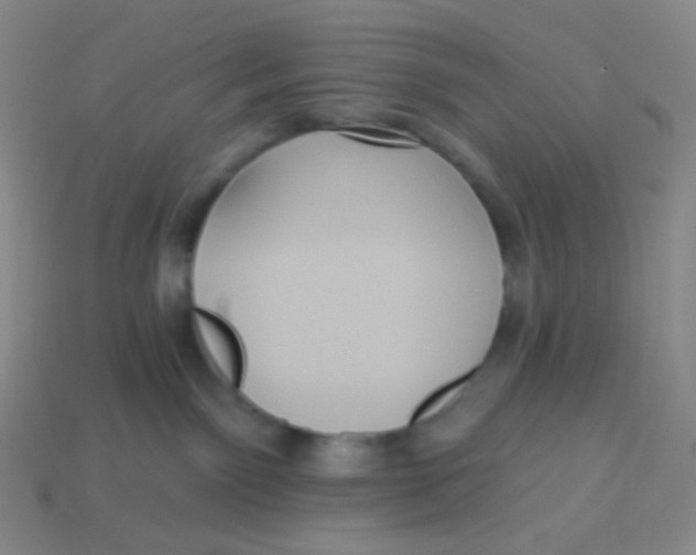 X0000113300141200910131055