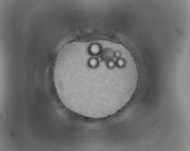 X0000113300144200910131055