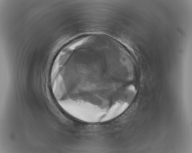 X0000113300145200910131054