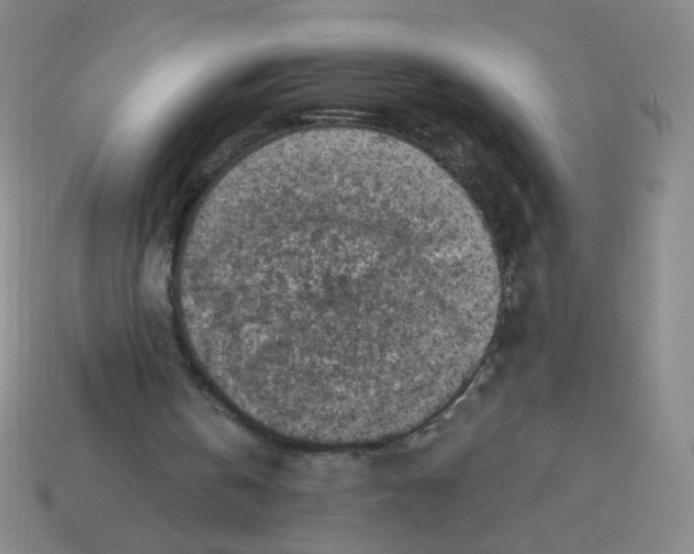 X0000113300146200910131054