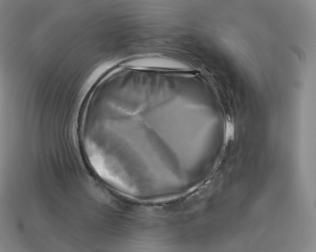 X0000113300147200910131054