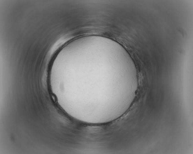 X0000113300150200910131054