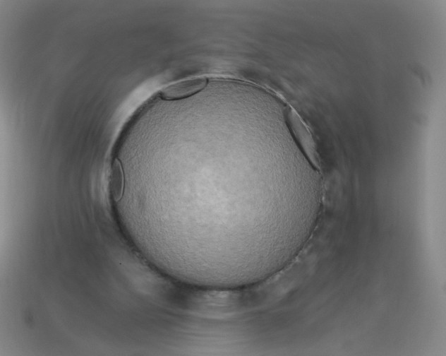 X0000113300152200910131054