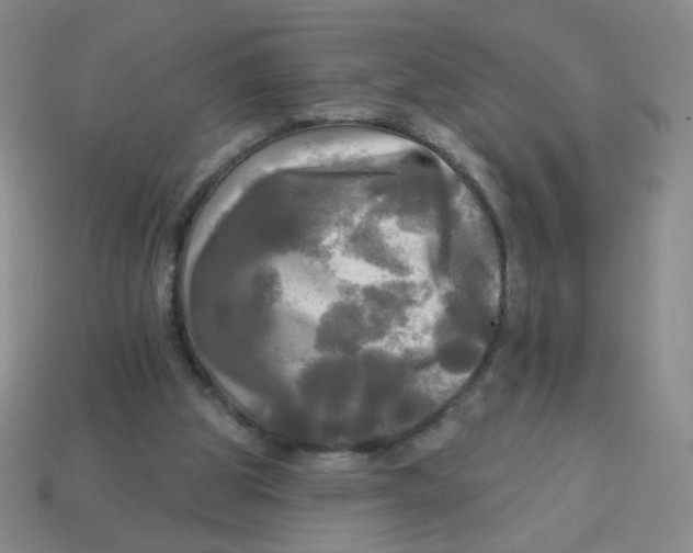 X0000113300153200910131054