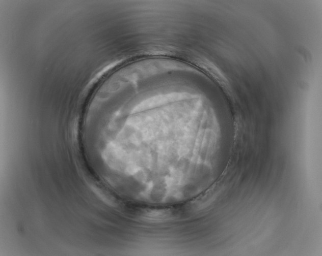 X0000113300155200910131054