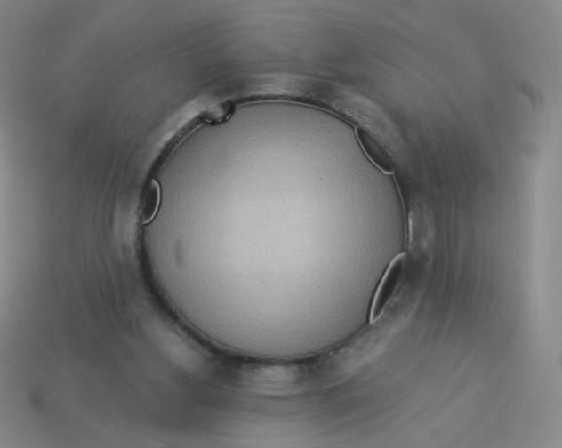 X0000113300156200910131054
