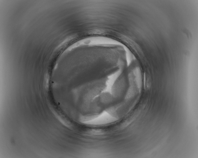 X0000113300157200910131054